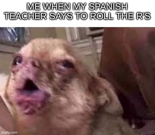 Spanish is hard | ME WHEN MY SPANISH TEACHER SAYS TO ROLL THE R'S | image tagged in choke,roll r | made w/ Imgflip meme maker