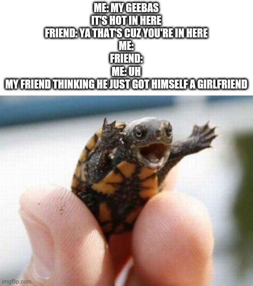 baby turtle memes