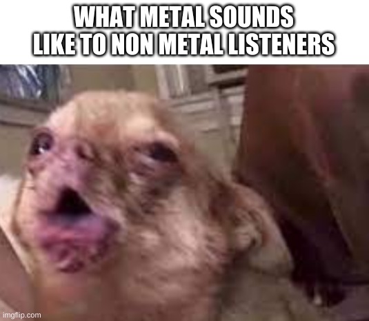 choke | WHAT METAL SOUNDS LIKE TO NON METAL LISTENERS | image tagged in choke,scream | made w/ Imgflip meme maker