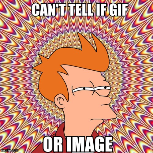 Which one? | image tagged in futurama fry,gifs,memes,fun,funny,cool | made w/ Imgflip meme maker
