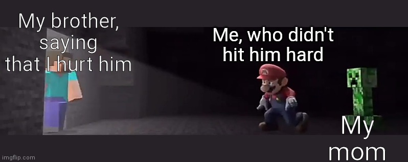 But I didn't hit him hard | My brother, saying that I hurt him; Me, who didn't hit him hard; My mom | image tagged in steve smash reveal | made w/ Imgflip meme maker