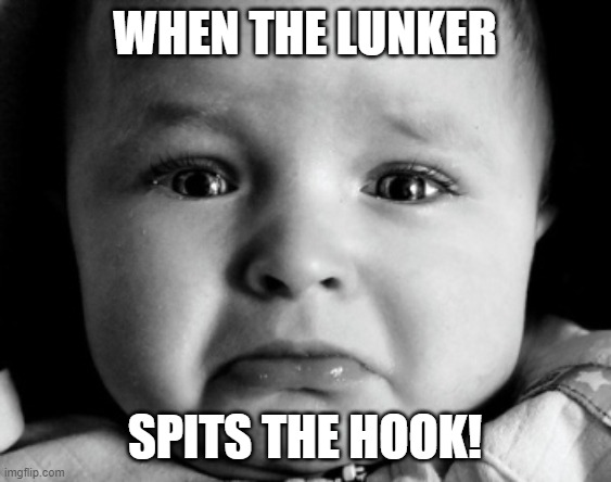 Sad Baby Meme |  WHEN THE LUNKER; SPITS THE HOOK! | image tagged in memes,sad baby | made w/ Imgflip meme maker