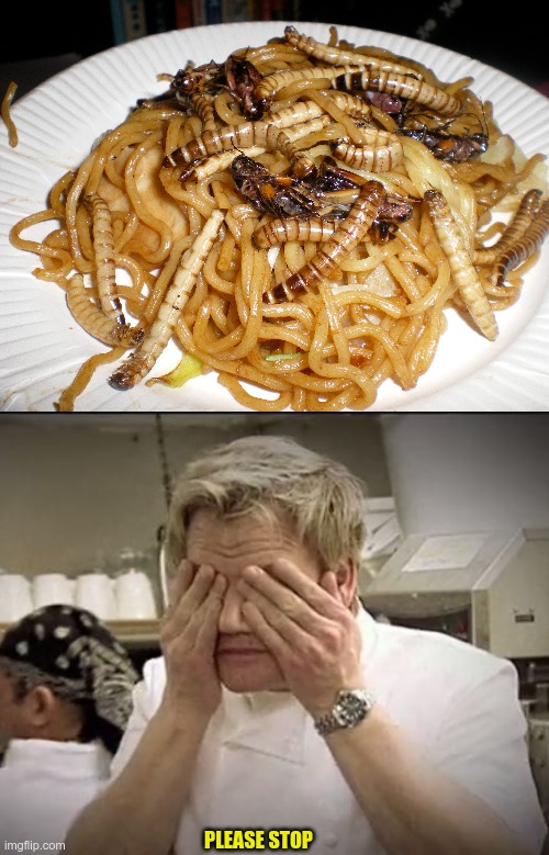gross | PLEASE STOP | image tagged in gordon ramsey,grossed out | made w/ Imgflip meme maker