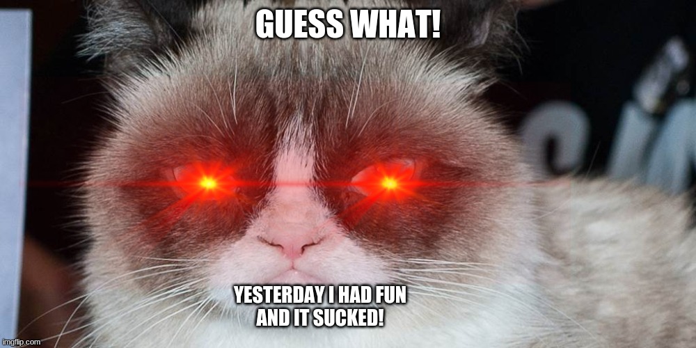 GUESS WHAT! YESTERDAY I HAD FUN
AND IT SUCKED! | image tagged in meme,grumpy cat | made w/ Imgflip meme maker