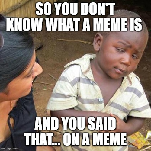 Third World Skeptical Kid Meme | SO YOU DON'T KNOW WHAT A MEME IS AND YOU SAID THAT... ON A MEME | image tagged in memes,third world skeptical kid | made w/ Imgflip meme maker