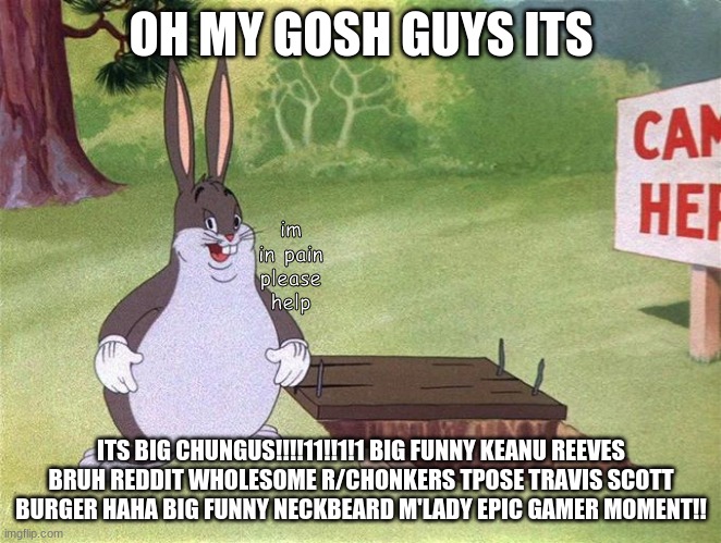 Big Chungus |  OH MY GOSH GUYS ITS; im in pain please help; ITS BIG CHUNGUS!!!!11!!1!1 BIG FUNNY KEANU REEVES BRUH REDDIT WHOLESOME R/CHONKERS TPOSE TRAVIS SCOTT BURGER HAHA BIG FUNNY NECKBEARD M'LADY EPIC GAMER MOMENT!! | image tagged in big chungus | made w/ Imgflip meme maker