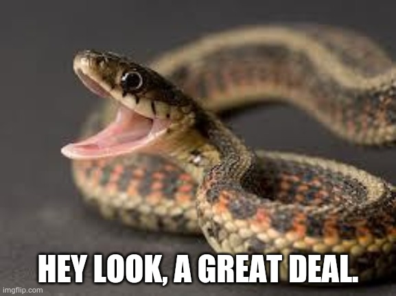 Warning Snake | HEY LOOK, A GREAT DEAL. | image tagged in warning snake | made w/ Imgflip meme maker