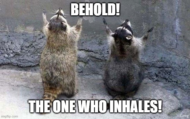 Raccoon Worshipping | BEHOLD! THE ONE WHO INHALES! | image tagged in raccoon worshipping | made w/ Imgflip meme maker