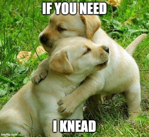 Puppy I love bro |  IF YOU NEED; I KNEAD | image tagged in puppy i love bro | made w/ Imgflip meme maker