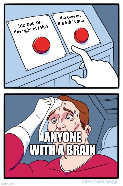 Two Buttons | the one on the left is true; the one on the right is false; ANYONE WITH A BRAIN | image tagged in memes,two buttons | made w/ Imgflip meme maker