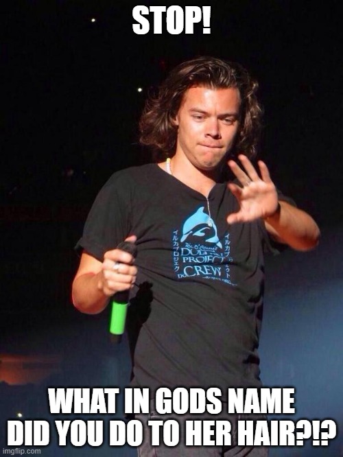 Harry Styles meme about bad hair | STOP! WHAT IN GODS NAME DID YOU DO TO HER HAIR?!? | image tagged in one direction harry styles | made w/ Imgflip meme maker