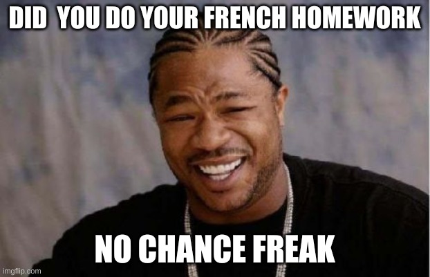 Yo Dawg Heard You Meme | DID  YOU DO YOUR FRENCH HOMEWORK; NO CHANCE FREAK | image tagged in memes,yo dawg heard you | made w/ Imgflip meme maker