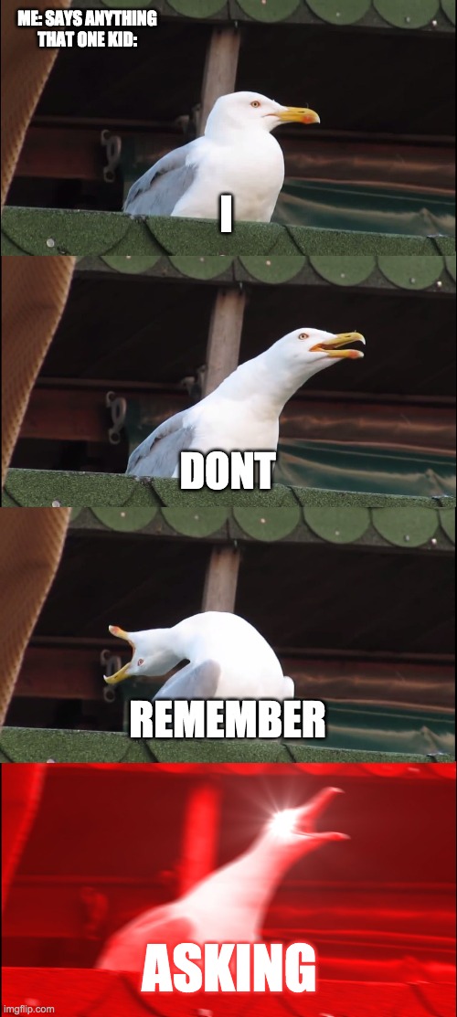 Inhaling Seagull | ME: SAYS ANYTHING
THAT ONE KID:; I; DONT; REMEMBER; ASKING | image tagged in memes,inhaling seagull | made w/ Imgflip meme maker