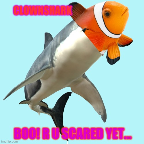 CLOWNSHARK BOO! R U SCARED YET... | made w/ Imgflip meme maker