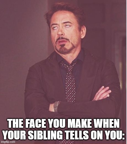 That face you make... | THE FACE YOU MAKE WHEN YOUR SIBLING TELLS ON YOU: | image tagged in memes,face you make robert downey jr | made w/ Imgflip meme maker