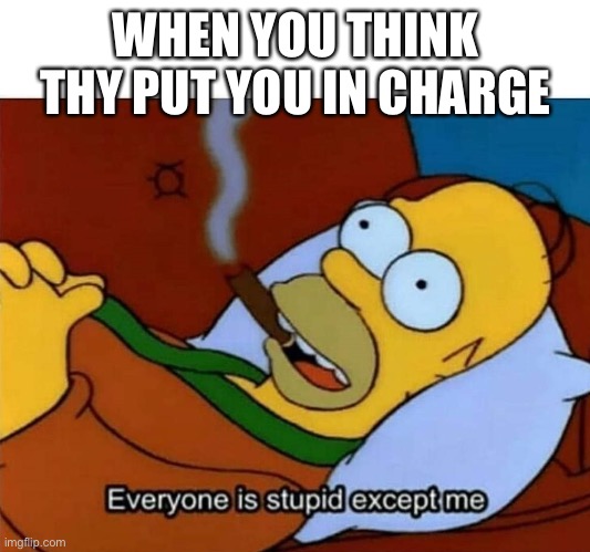 Work | WHEN YOU THINK THY PUT YOU IN CHARGE | image tagged in everyone is stupid except me | made w/ Imgflip meme maker