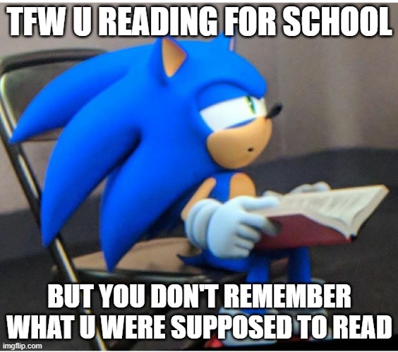 Sonic Reading | TFW U READING FOR SCHOOL; BUT YOU DON'T REMEMBER WHAT U WERE SUPPOSED TO READ | image tagged in sonic,sonicreads | made w/ Imgflip meme maker