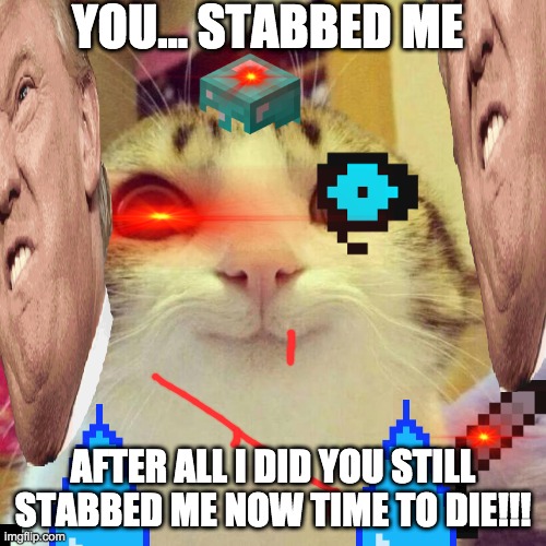 Smiling Cat | YOU... STABBED ME; AFTER ALL I DID YOU STILL STABBED ME NOW TIME TO DIE!!! | image tagged in memes,smiling cat | made w/ Imgflip meme maker