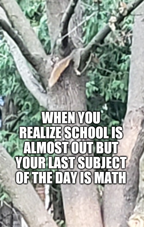 Math is the worst | WHEN YOU REALIZE SCHOOL IS ALMOST OUT BUT YOUR LAST SUBJECT OF THE DAY IS MATH | image tagged in even squirals hate math | made w/ Imgflip meme maker