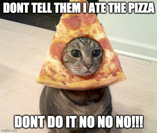 pizza cat | DONT TELL THEM I ATE THE PIZZA; DONT DO IT NO NO NO!!! | image tagged in pizza cat | made w/ Imgflip meme maker