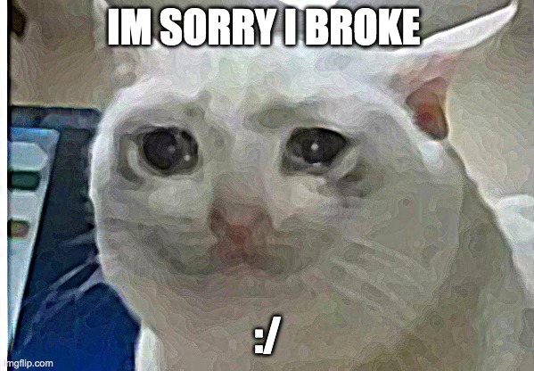 sans | IM SORRY I BROKE; :/ | image tagged in crying cat | made w/ Imgflip meme maker