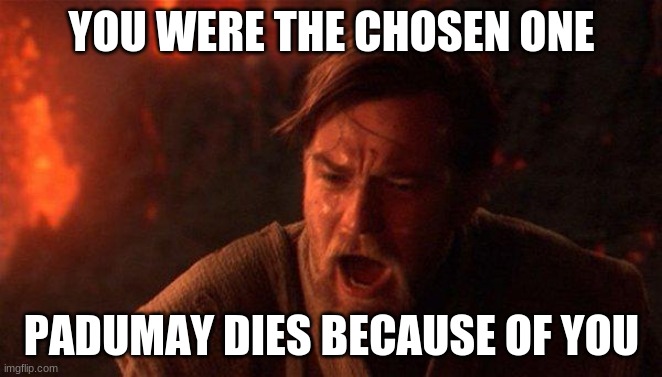You Were The Chosen One (Star Wars) | YOU WERE THE CHOSEN ONE; PADUMAY DIES BECAUSE OF YOU | image tagged in memes,you were the chosen one star wars | made w/ Imgflip meme maker