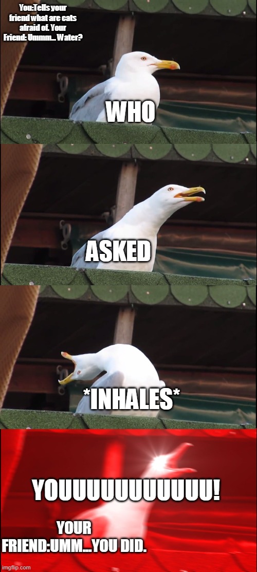 What are cats afraid of | You:Tells your friend what are cats afraid of. Your Friend: Ummm... Water? WHO; ASKED; *INHALES*; YOUUUUUUUUUUU! YOUR FRIEND:UMM...YOU DID. | image tagged in memes,inhaling seagull | made w/ Imgflip meme maker