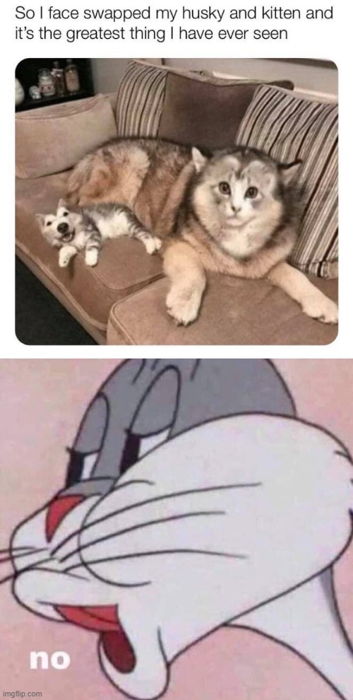 delete this | image tagged in no,can't unsee,nope,cats,dogs,delete this | made w/ Imgflip meme maker