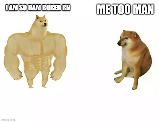 Buff Doge vs. Cheems | ME TOO MAN; I AM SO DAM BORED RN | image tagged in buff doge vs cheems | made w/ Imgflip meme maker