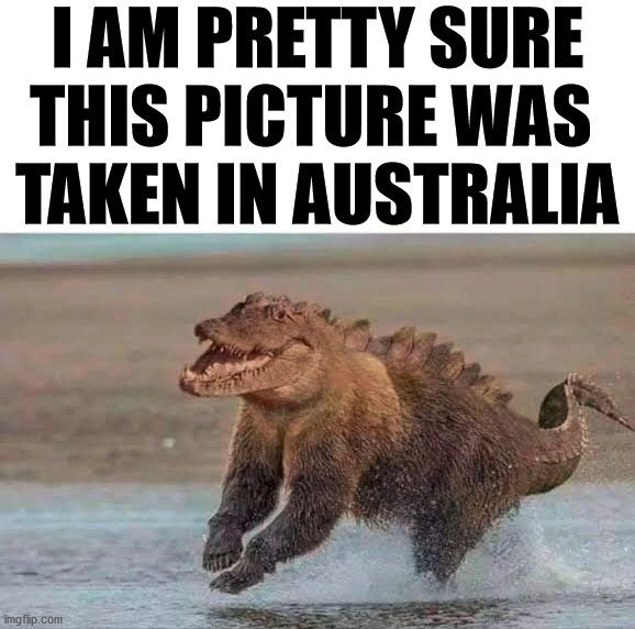 I AM PRETTY SURE THIS PICTURE WAS 
TAKEN IN AUSTRALIA | made w/ Imgflip meme maker