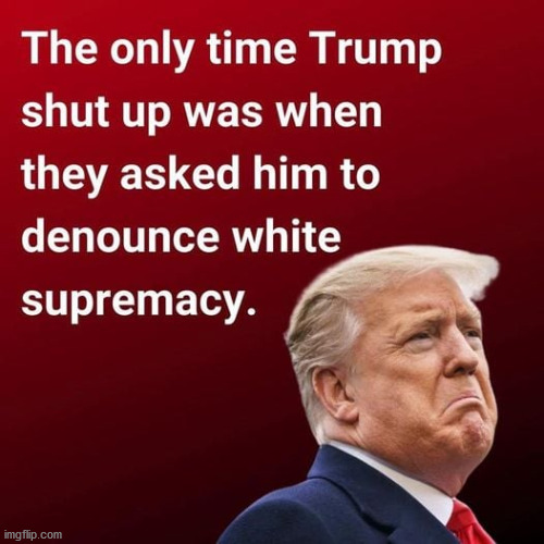 tRUMPf will never denounce white supremacy.  Even the KKK endorses him. | image tagged in magas,white supremacy,racist,anyone but trump,first racist president | made w/ Imgflip meme maker