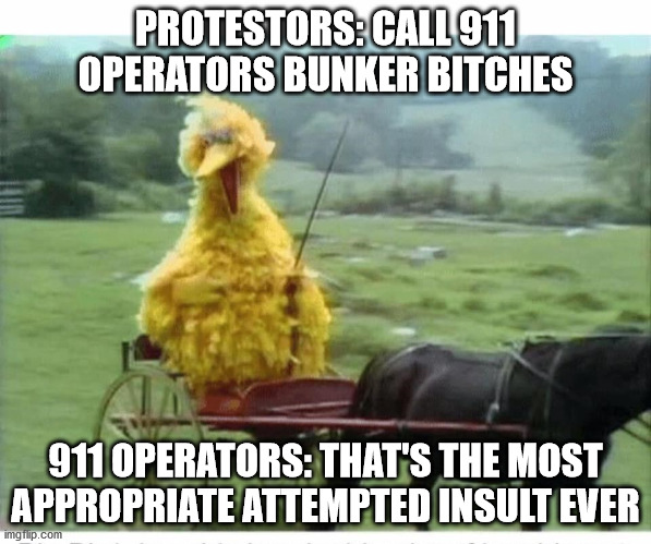 It wasn't even an insult | PROTESTORS: CALL 911 OPERATORS BUNKER BITCHES; 911 OPERATORS: THAT'S THE MOST APPROPRIATE ATTEMPTED INSULT EVER | image tagged in big bird in carriage | made w/ Imgflip meme maker