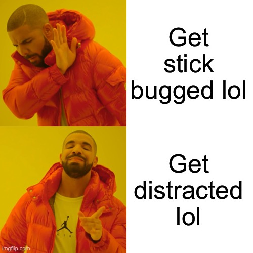 Drake Hotline Bling | Get stick bugged lol; Get distracted lol | image tagged in memes,drake hotline bling,get stick bugged lol,get distracted lol | made w/ Imgflip meme maker