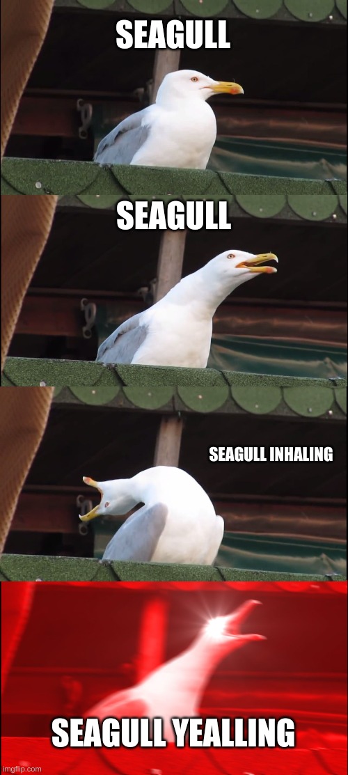 Inhaling Seagull | SEAGULL; SEAGULL; SEAGULL INHALING; SEAGULL YEALLING | image tagged in memes,inhaling seagull | made w/ Imgflip meme maker
