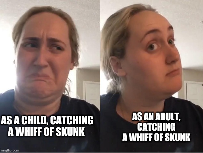It's true | AS AN ADULT, CATCHING A WHIFF OF SKUNK; AS A CHILD, CATCHING A WHIFF OF SKUNK | image tagged in on second thought an an0nym0us template | made w/ Imgflip meme maker