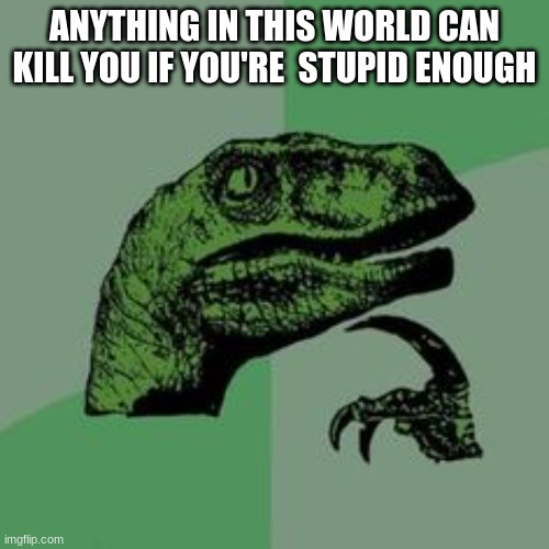 think about it | ANYTHING IN THIS WORLD CAN KILL YOU IF YOU'RE  STUPID ENOUGH | image tagged in time raptor | made w/ Imgflip meme maker