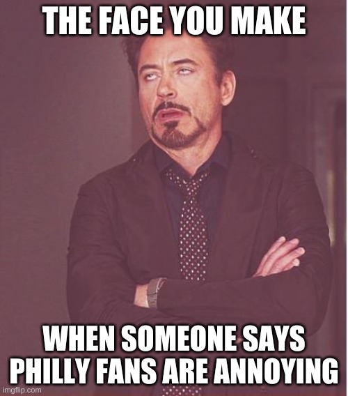 no one likes us we dont care | THE FACE YOU MAKE; WHEN SOMEONE SAYS PHILLY FANS ARE ANNOYING | image tagged in memes,face you make robert downey jr | made w/ Imgflip meme maker