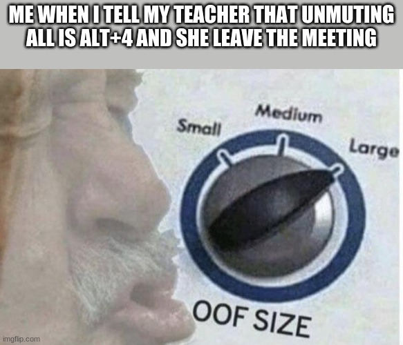 mr oof size mind | ME WHEN I TELL MY TEACHER THAT UNMUTING ALL IS ALT+4 AND SHE LEAVE THE MEETING | image tagged in oof size large | made w/ Imgflip meme maker