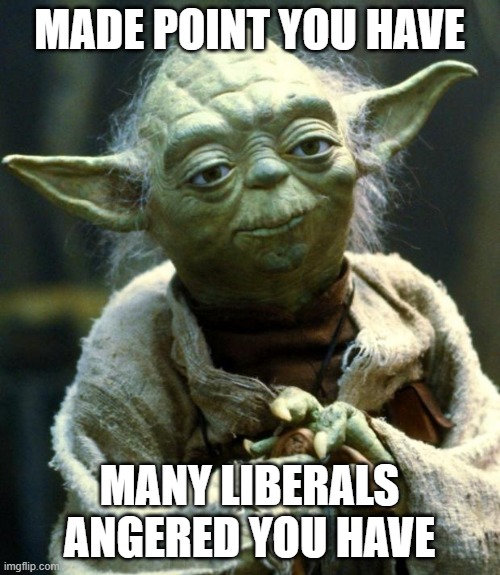 Star Wars Yoda Meme | MADE POINT YOU HAVE MANY LIBERALS ANGERED YOU HAVE | image tagged in memes,star wars yoda | made w/ Imgflip meme maker