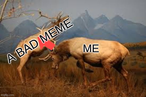 fighting moose | A BAD MEME; ME | image tagged in fighting moose,downvote | made w/ Imgflip meme maker
