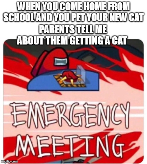 What cat did i pet | WHEN YOU COME HOME FROM SCHOOL AND YOU PET YOUR NEW CAT; PARENTS TELL ME ABOUT THEM GETTING A CAT | image tagged in emergency meeting among us | made w/ Imgflip meme maker