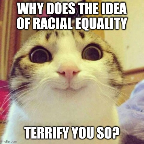 Smiling Cat Meme | WHY DOES THE IDEA OF RACIAL EQUALITY TERRIFY YOU SO? | image tagged in memes,smiling cat | made w/ Imgflip meme maker