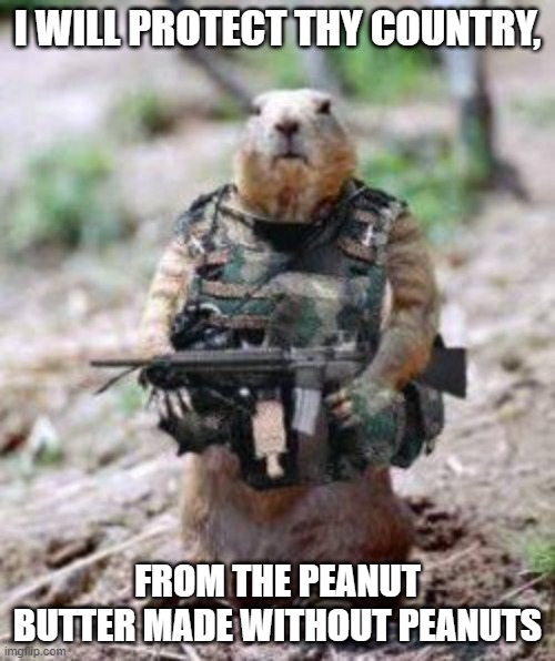squirell with AK-47 | I WILL PROTECT THY COUNTRY, FROM THE PEANUT BUTTER MADE WITHOUT PEANUTS | image tagged in squirellwithgun,dontwaitforme,sfx,givemenuts | made w/ Imgflip meme maker
