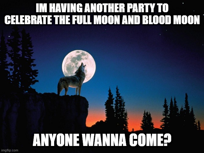 another party? | IM HAVING ANOTHER PARTY TO CELEBRATE THE FULL MOON AND BLOOD MOON; ANYONE WANNA COME? | image tagged in full moon,wolf party,party time,wolves,insanity,entertainment | made w/ Imgflip meme maker