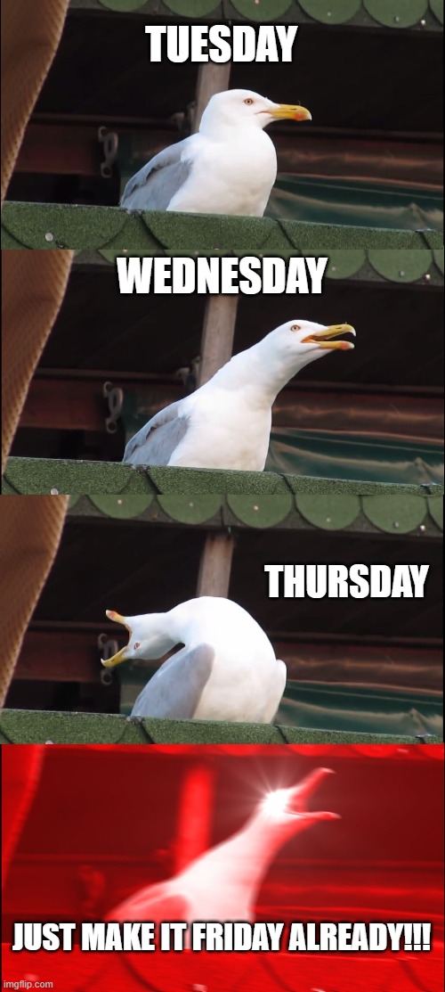 Inhaling Seagull Meme | TUESDAY; WEDNESDAY; THURSDAY; JUST MAKE IT FRIDAY ALREADY!!! | image tagged in memes,inhaling seagull | made w/ Imgflip meme maker