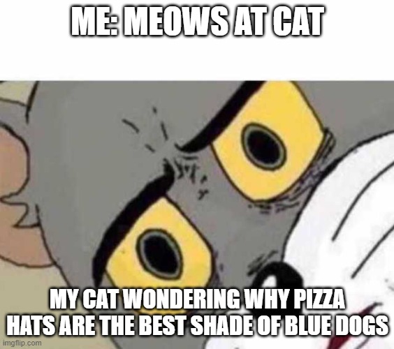 Tom Cat Unsettled Close up | ME: MEOWS AT CAT; MY CAT WONDERING WHY PIZZA HATS ARE THE BEST SHADE OF BLUE DOGS | image tagged in tom cat unsettled close up | made w/ Imgflip meme maker