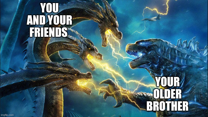 YOU AND YOUR FRIENDS; YOUR OLDER BROTHER | image tagged in memes | made w/ Imgflip meme maker