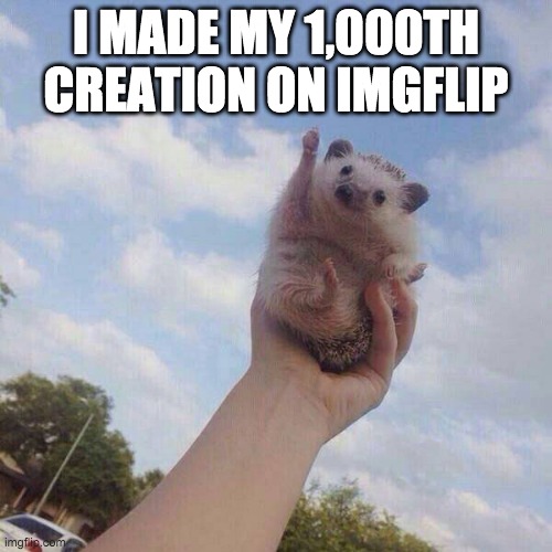 YAY | I MADE MY 1,000TH CREATION ON IMGFLIP | image tagged in lets go | made w/ Imgflip meme maker
