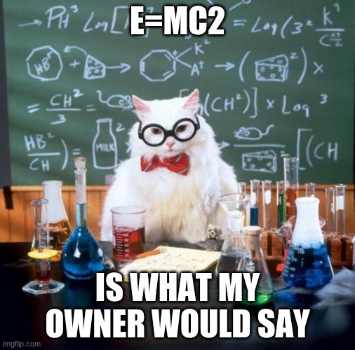 Chemistry Cat Meme | E=MC2; IS WHAT MY OWNER WOULD SAY | image tagged in memes,chemistry cat | made w/ Imgflip meme maker