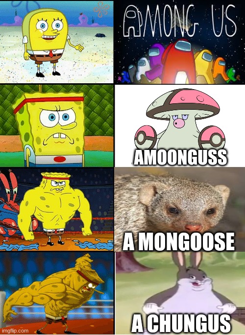 Among Us | AMOONGUSS; A MONGOOSE; A CHUNGUS | image tagged in strong spongebob chart | made w/ Imgflip meme maker